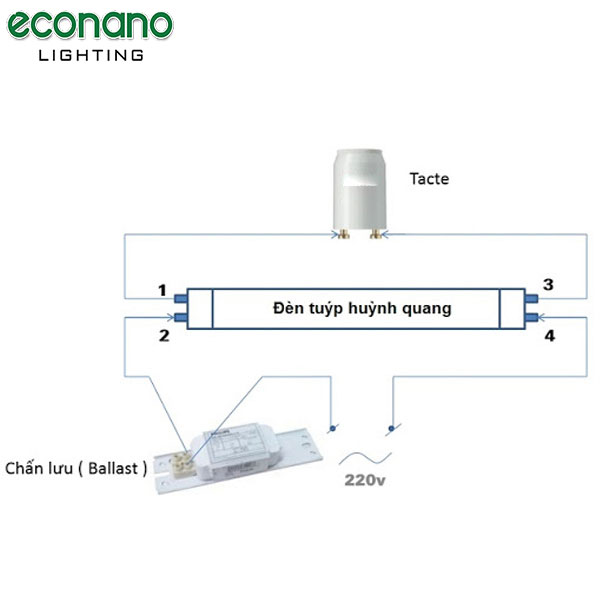 cấu tạo đèn tuýp huỳnh quang